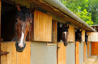 free East Portholland stable construction quotes